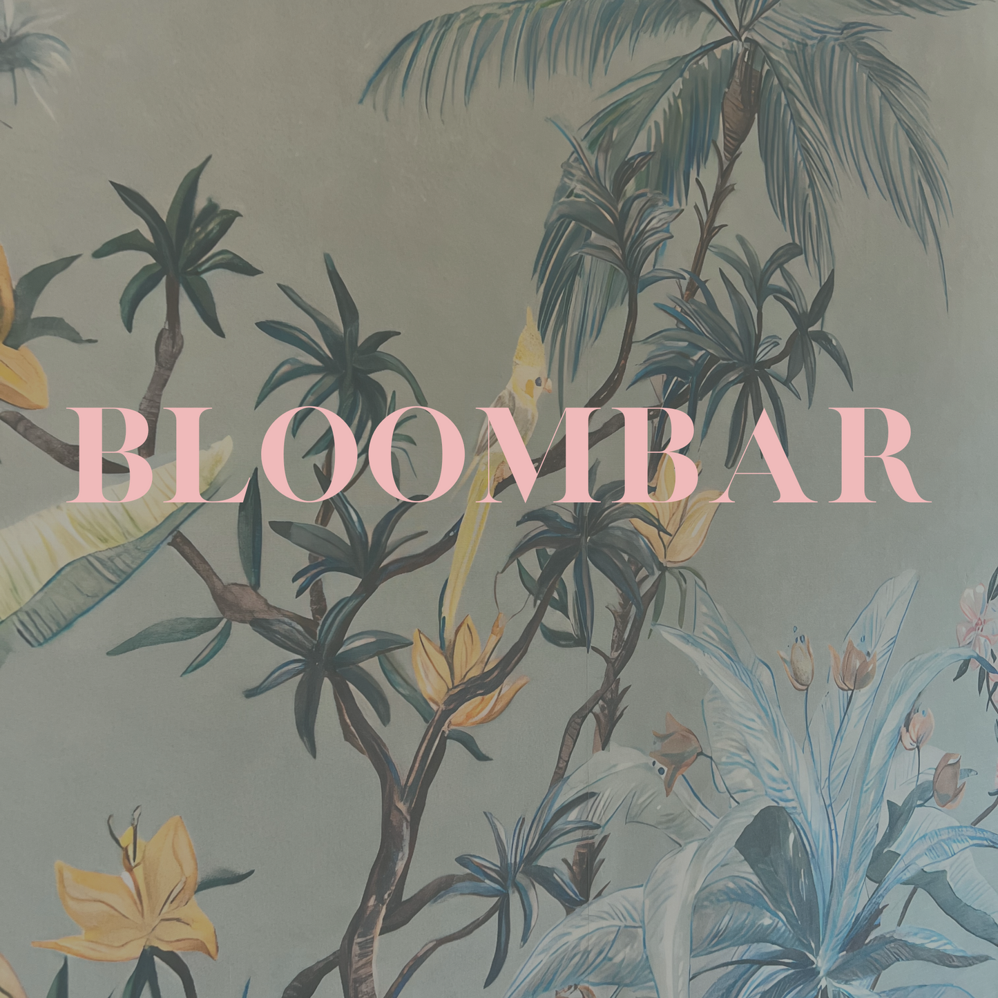 Gift Cards (Brooklyn)