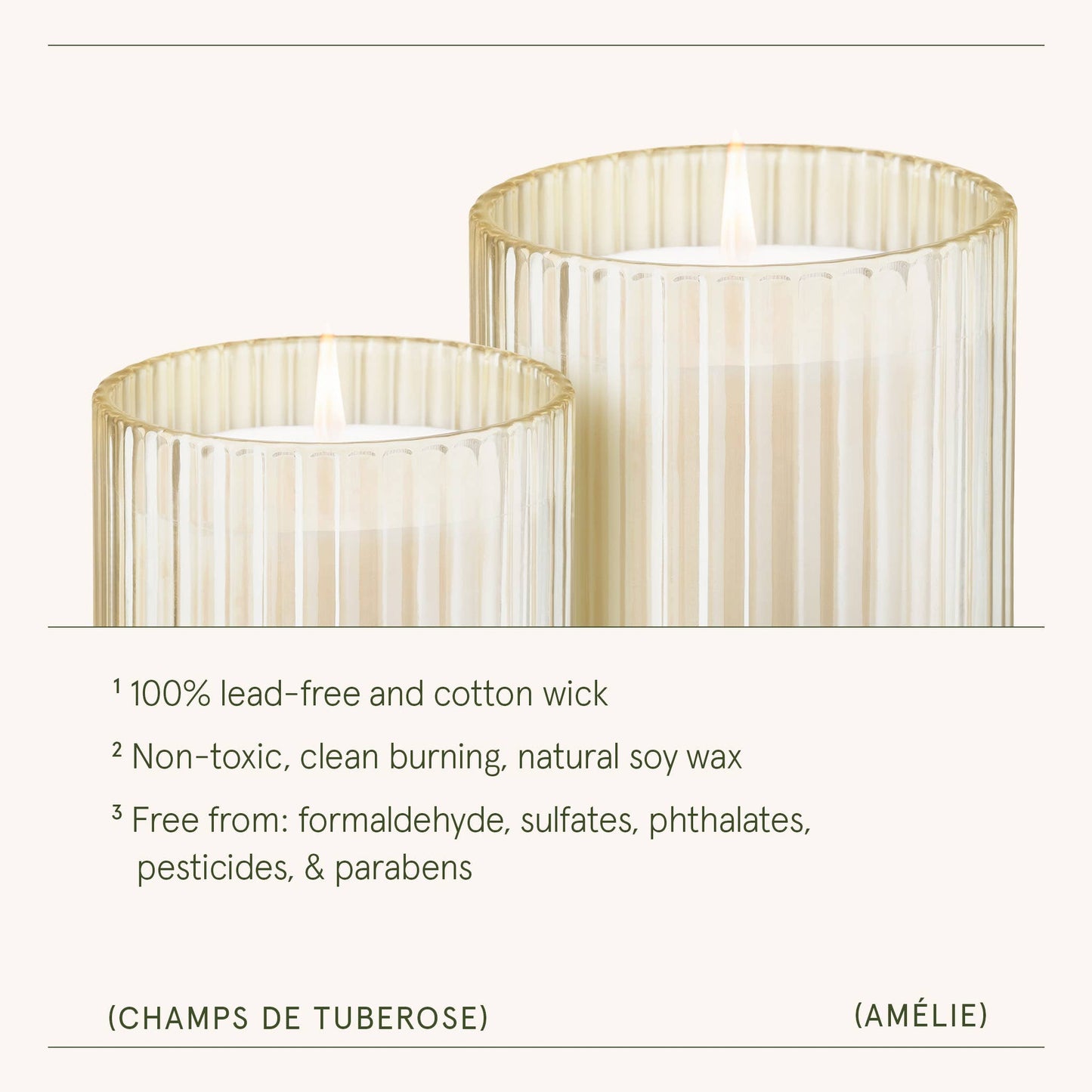 Scented Candle - Champs de Tuberose - 7oz | La Jolie Muse