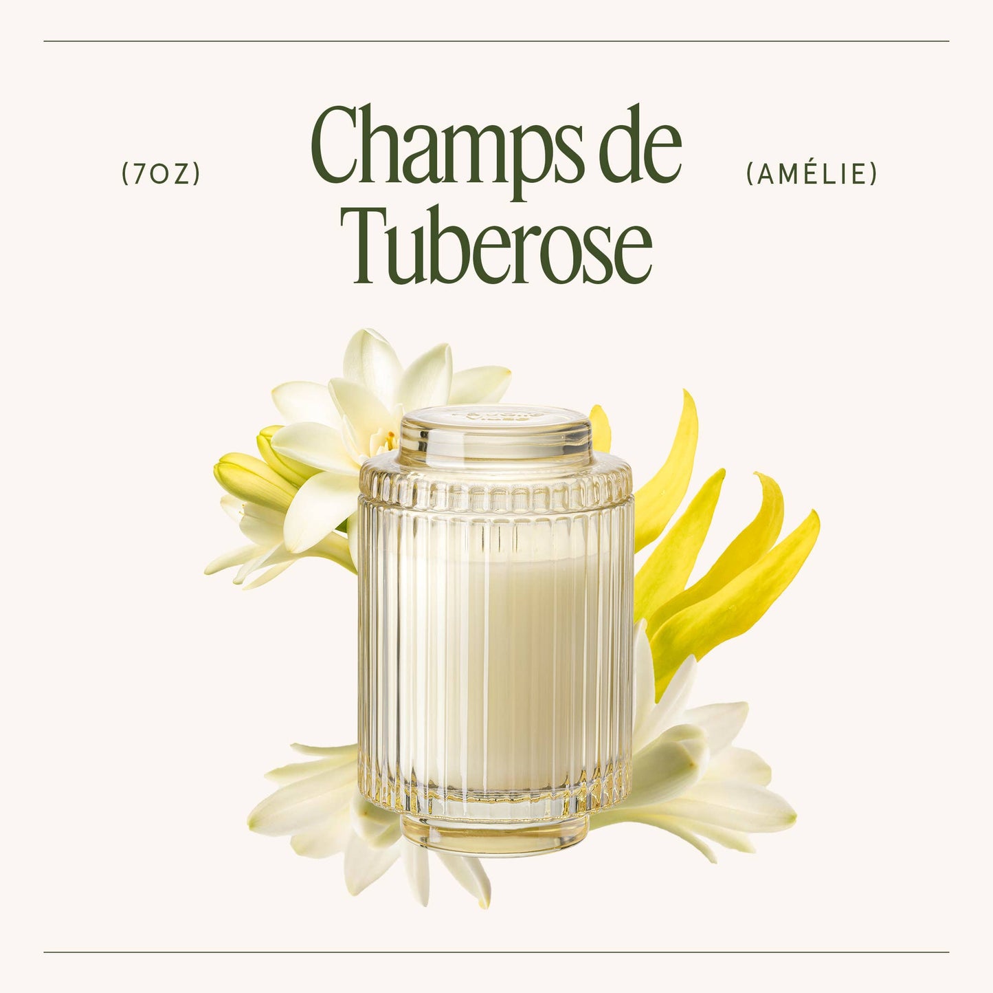 Scented Candle - Champs de Tuberose - 7oz | La Jolie Muse