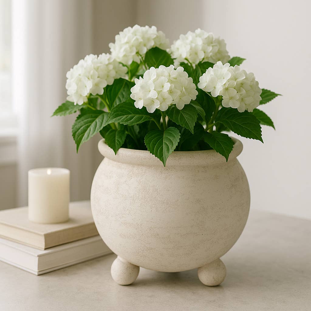 Ceramic Textured Rounded Planter On Ball Feet - Ivory, 9 in.