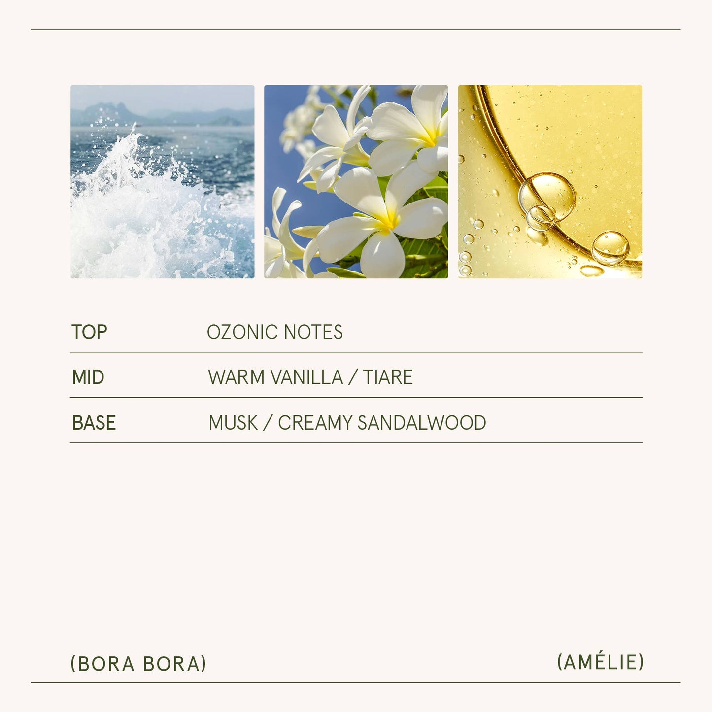 Scented Candle - Bora Bora - 7oz | La Jolie Muse