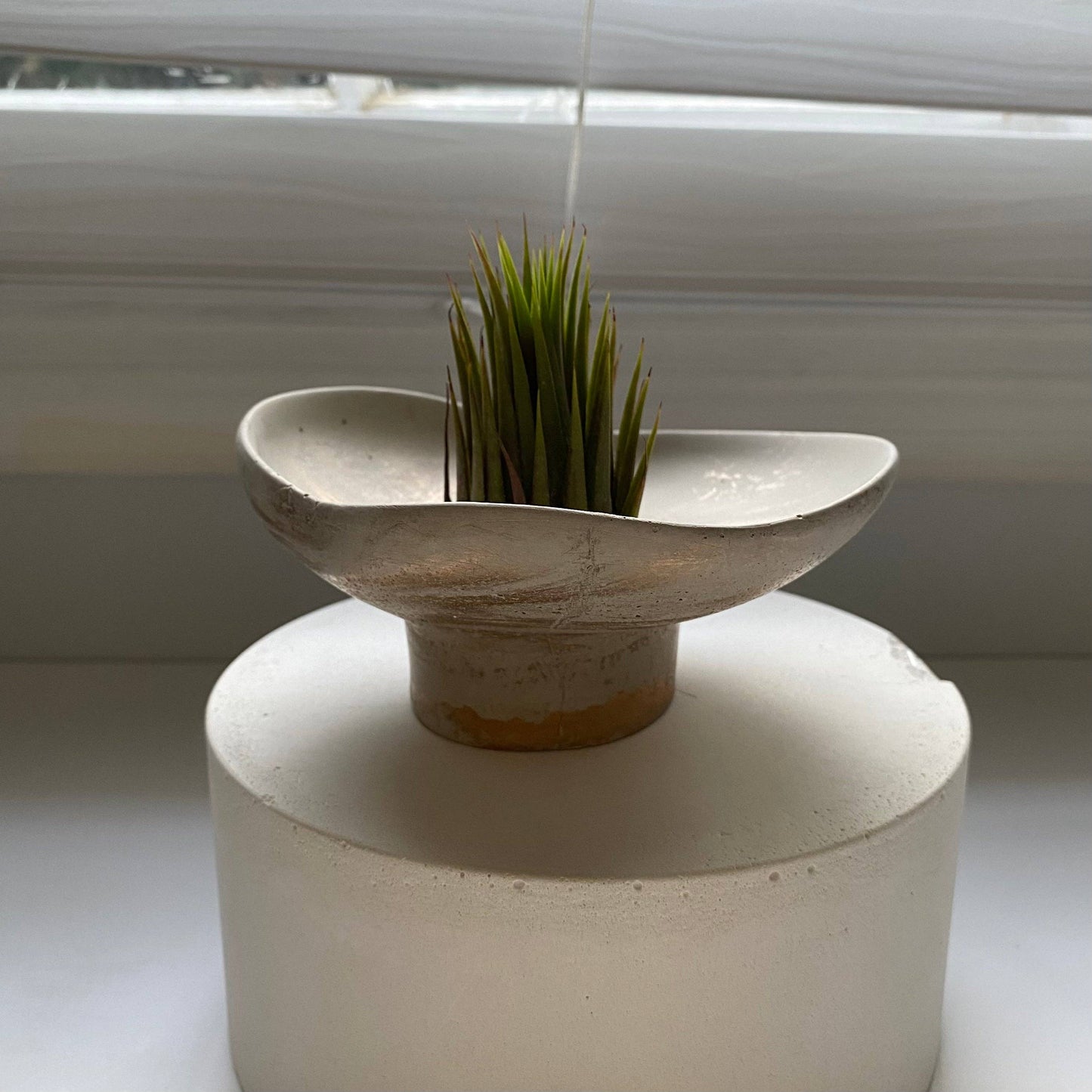 Aglaya - Pedestal Bowl: Light Gray & Gold Marble