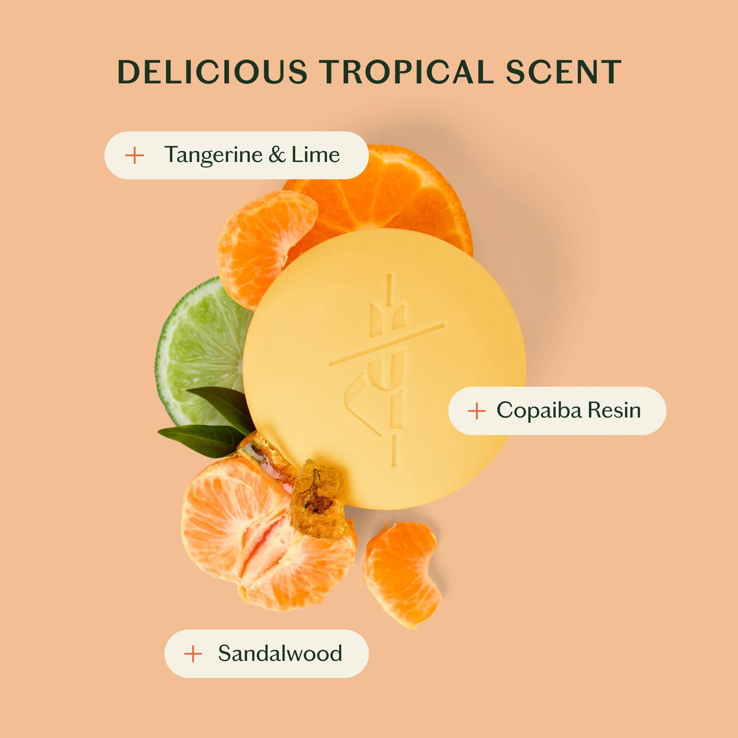 The Sun Stone | After Sun Balm & Lotion Bar